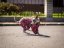 HEART ATTACK SUIT - overal pro psy