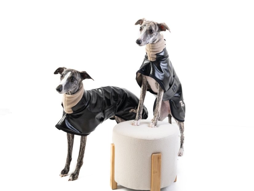 Elegantní sportovní bunda pro psa – odolná a hřejivá ochrana