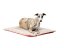 Prémiová deka pro psy - LUXURY PAW BLANKET