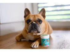 Hemp Skin Balm for Dogs – Natural Protection and Regeneration