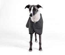 MOET Softshell Jacket – Teddy Lining