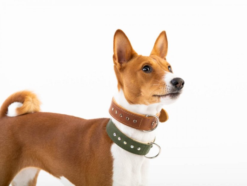 Obojek pro psy zdobený s kamínky kožený 30mm