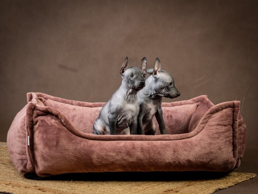 Pelech ROSA hranatý pro psy s ortopedickou výplní