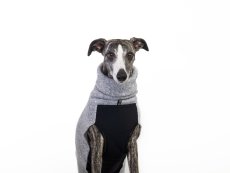 FLEX FIT – sportovní svetr pro psy