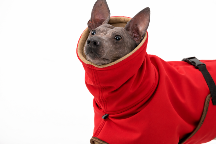 Arctic Tail Shell – zimní bunda pro psy s ocáskem nahoru