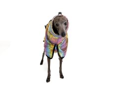 THERMOCOAT CHROMA – zimní bunda pro psa