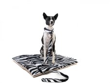 Africa ZEBRA leash made of strong waterproof fabric