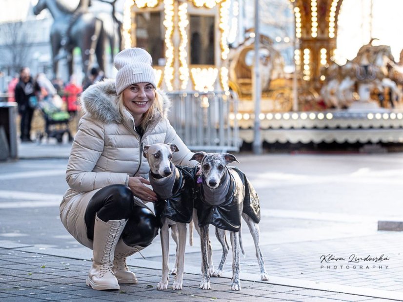Elegantní sportovní bunda pro psa – odolná a hřejivá ochrana