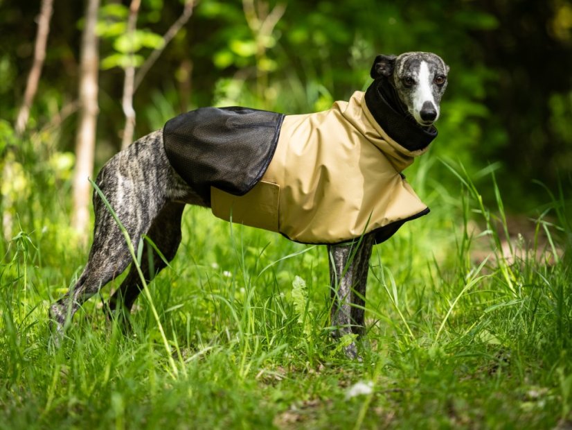URBAN RAINCOAT – 100% nepromokavá pláštěnka pro psy
