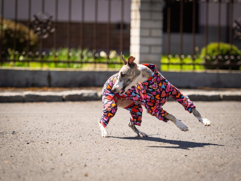 HEART ATTACK SUIT - overal pro psy