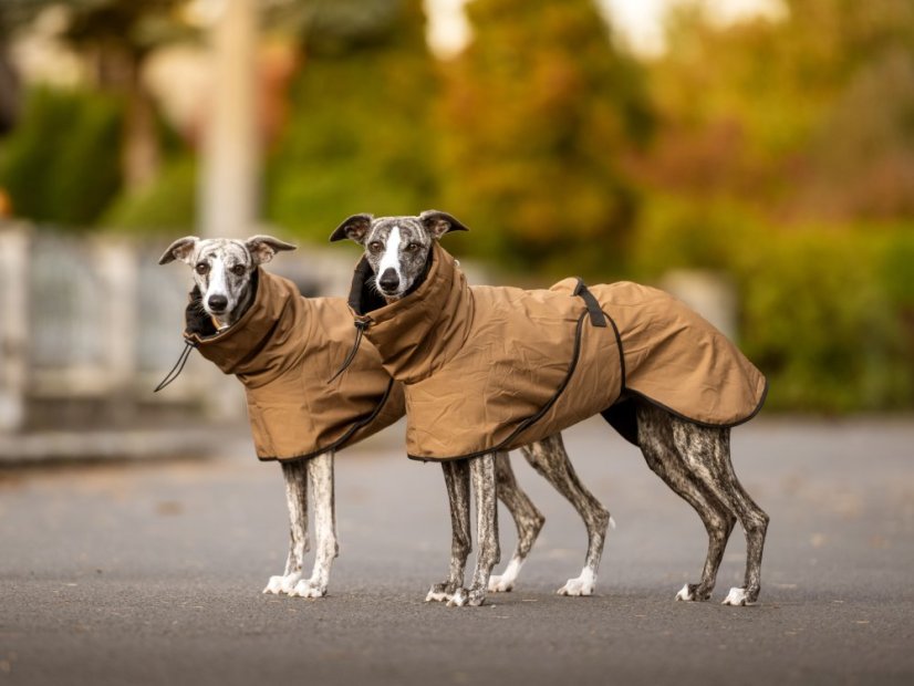 Minimalistická bunda pro psy