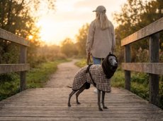 CITY TWEED COAT – přechodový kabátek pro psy
