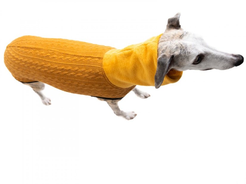 CARDIGAN LIMITED COLLECTION