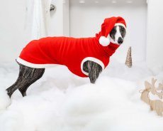 Vánoční FLEECOVÁ MIKINA