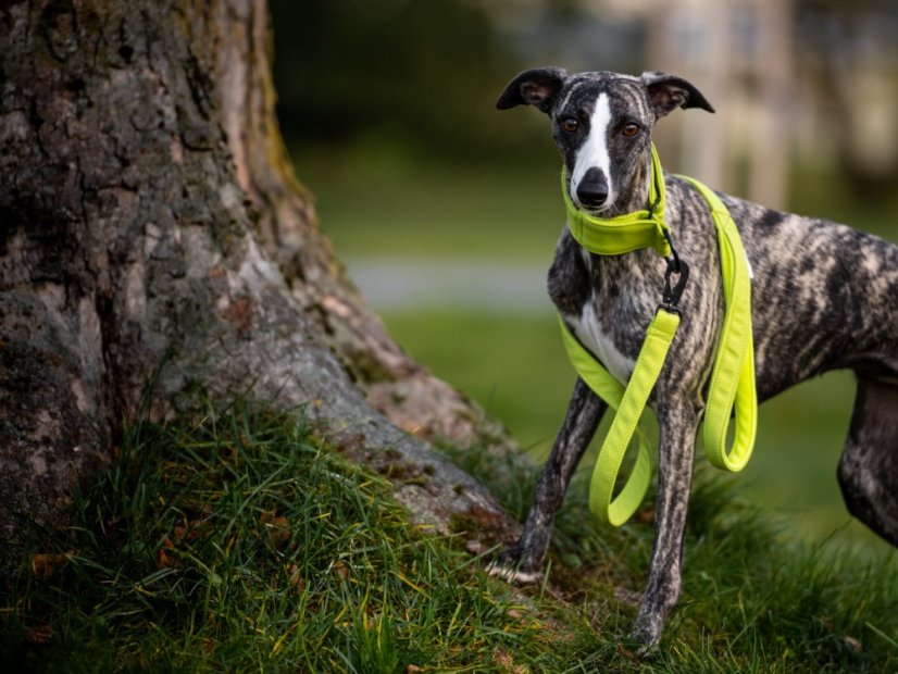 Soft set obojek s vodítkem