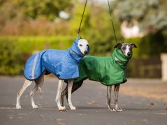 Codura® RainPawtector