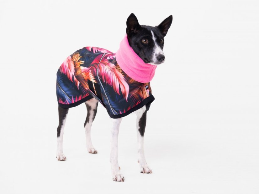 Basenji CODURA LISTY bunda podšitá