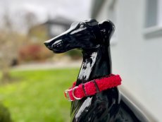 Obojok ČERVENÝ 2cm