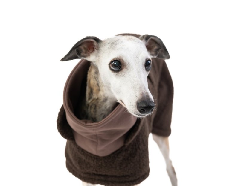Cloudog Kabát BOUCLÉ