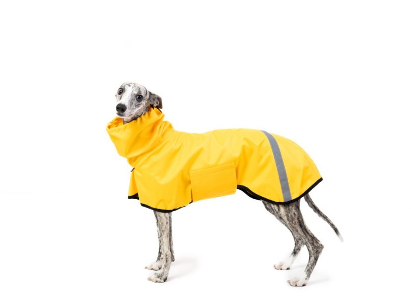 Codura® RainPawtector