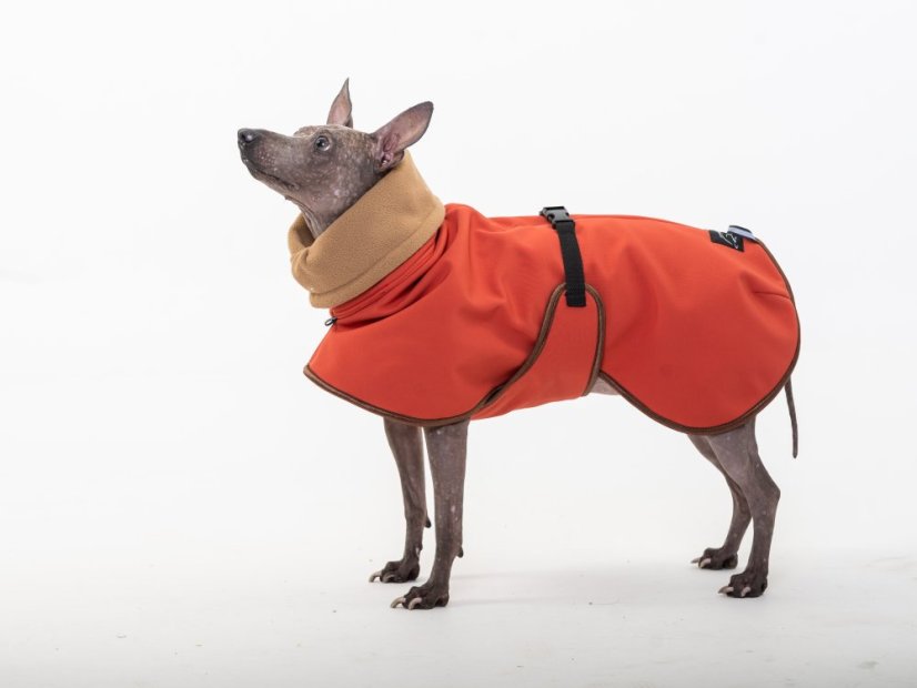 Arctic Tail Shell – zimní bunda pro psy s ocáskem nahoru