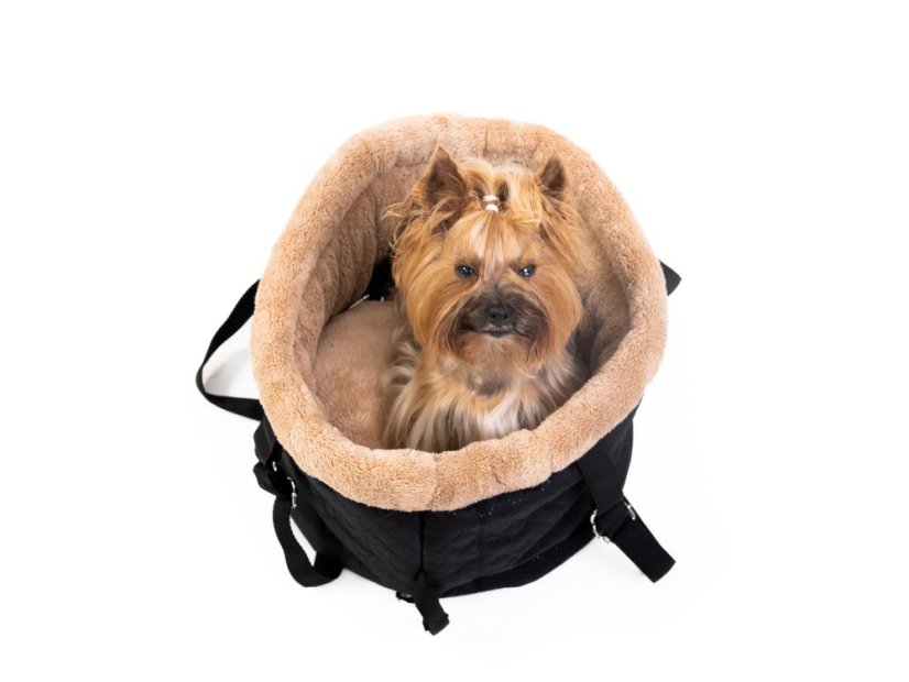 TRAVEL BAG FOR DOGS