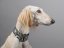 Brocade luxury collar