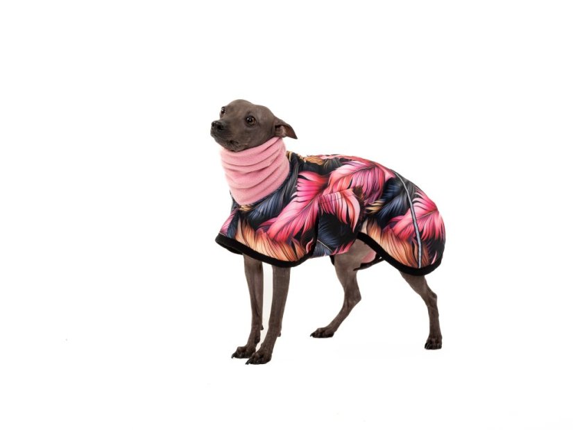 Basenji CODURA LISTY bunda podšitá