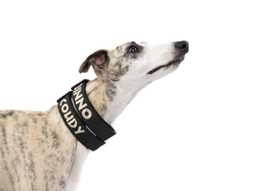 Personalizovaný outdoorový obojek s plastovou sponou a výšivkou jména