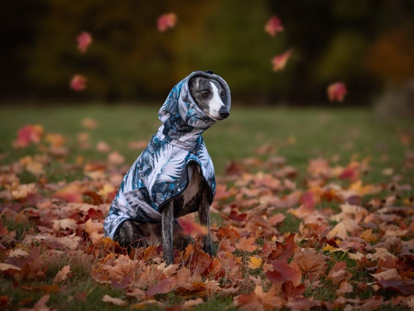 RainStopper Cordura Fleece – odolná nepromokavá pláštěnka pro psy se zateplením