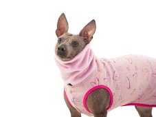 Warmkeeper Love Edition – for dogs with tails up