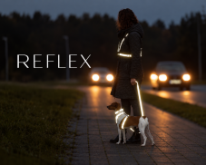 Reflexní obojek PREMIUM Reflect, grafit