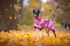 Lined Dog Jacket for Tails-Up Breeds – FLAMINGO, size M - M1