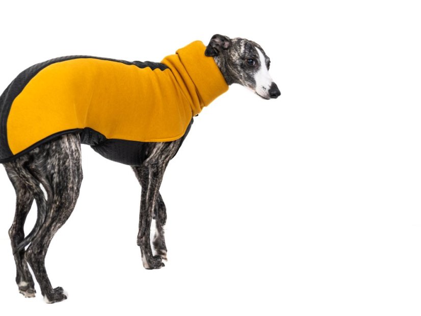 Mikina pro psy KENTON z teplákoviny