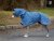 Blue Kaleido – Softshell Raincoat for Dogs