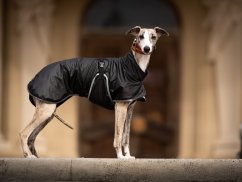Thermoregulatory Jacket for Dogs OMNI-HEAT