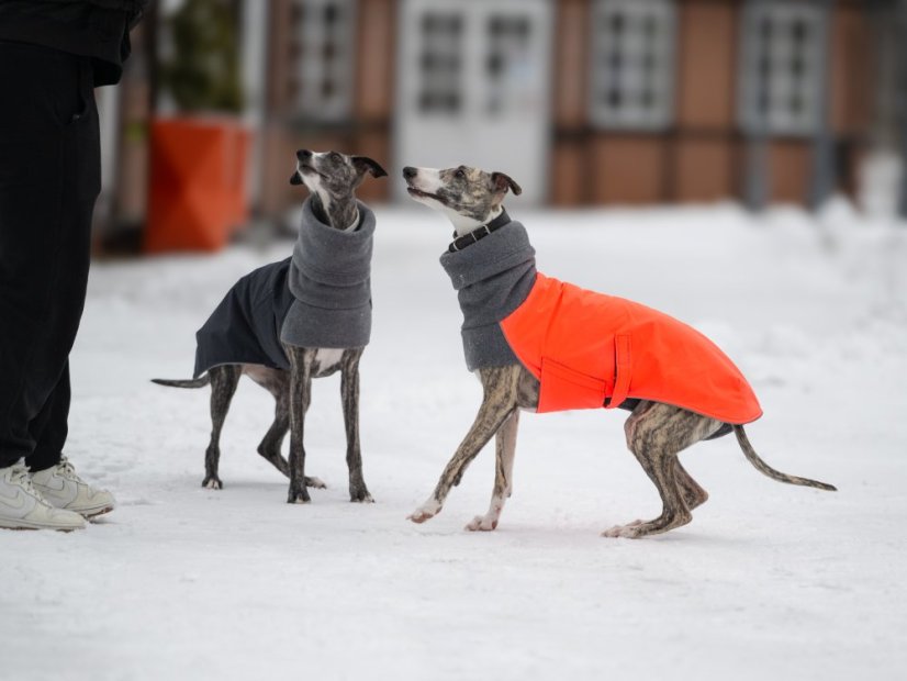 Performance Shell Dog Jacket – funkční bunda s hřejivým fleecem pro psy