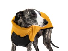 Mikina pre psov KENTON z teplákoviny