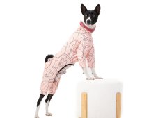 MINNIE Pajamas for Dogs with tails up