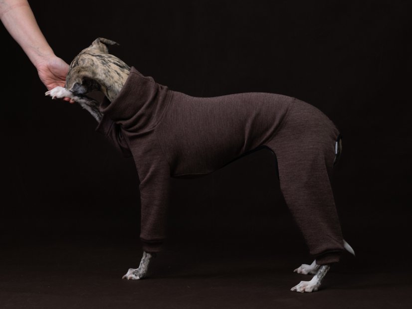 Merino overal pro psy – 100% MERINO | MUST HAVE 2026