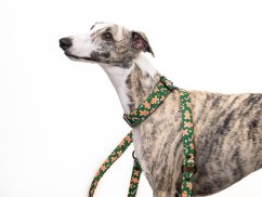 Agility vodítko GINGERBREAD