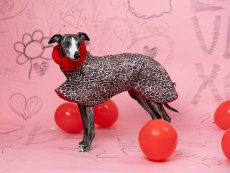 LEOPARD – zimní softshell bunda pro psy