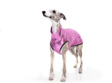ZARYA PINK GLOW tričko pro psy – limitovaná městská kolekce