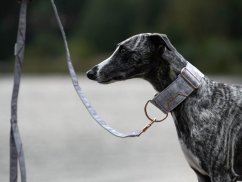 Leash gray made of strong waterproof fabric