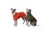 Zimní  bunda pro psy - TerraLuxe Softshell Winter