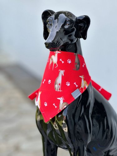 Dog scarf CODURA RED GREYHOUND