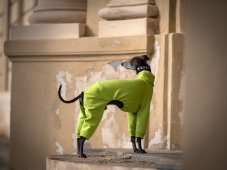 ZARYA ThermoFlex | sportovní funkční overal pro psy