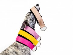 COLOR semi-retractable collar made of waterproof fabric lined with soft fabric