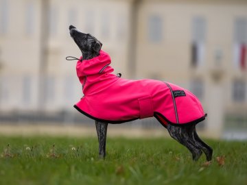 Raincoats for dogs