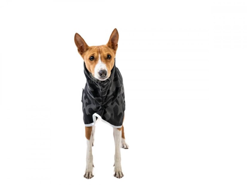 Reflexní pláštěnka LUMI BASENJI